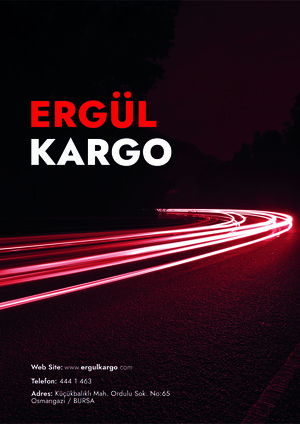 ERGÜLKARGO e-katalog kapak görseli