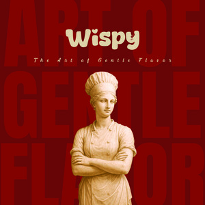 Wispy e-katalog kapak görseli