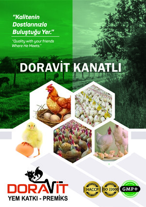 Kanatlı Ürün Kataloğu e-katalog kapak görseli