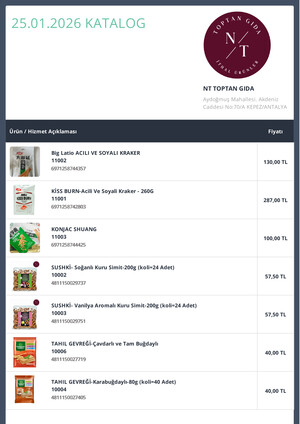 NT TOPTAN KATALOG e-katalog kapak görseli