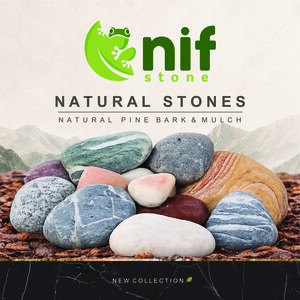 NIF STONE 2026
