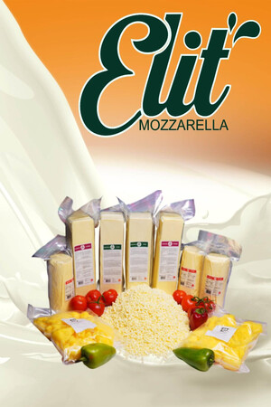 ELIT