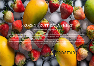 Frozen Cataloge