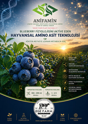 Blueberry ANİFAMİN